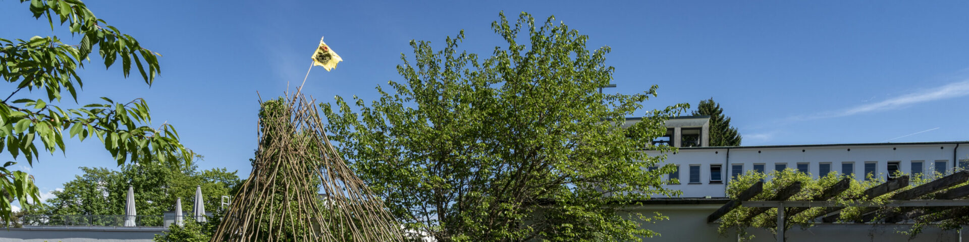 Header Image